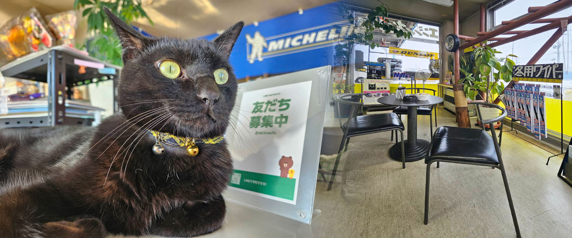 猫店長もお待ちしてます						不定期出勤